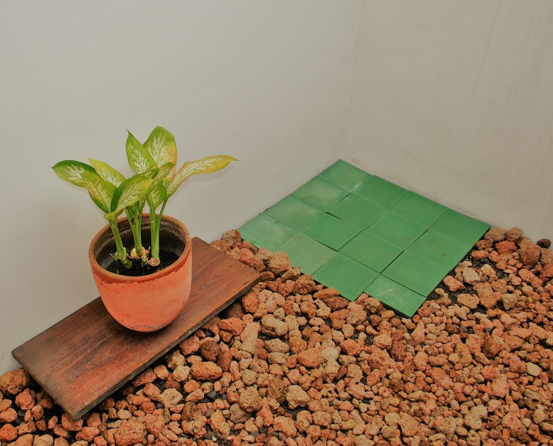 Casa Calala Aparthotel Granada  Kültér fotó